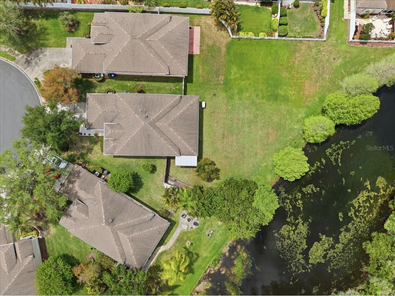 1154 Sarah Court Dunedin FL 34698 TB8505734 image8