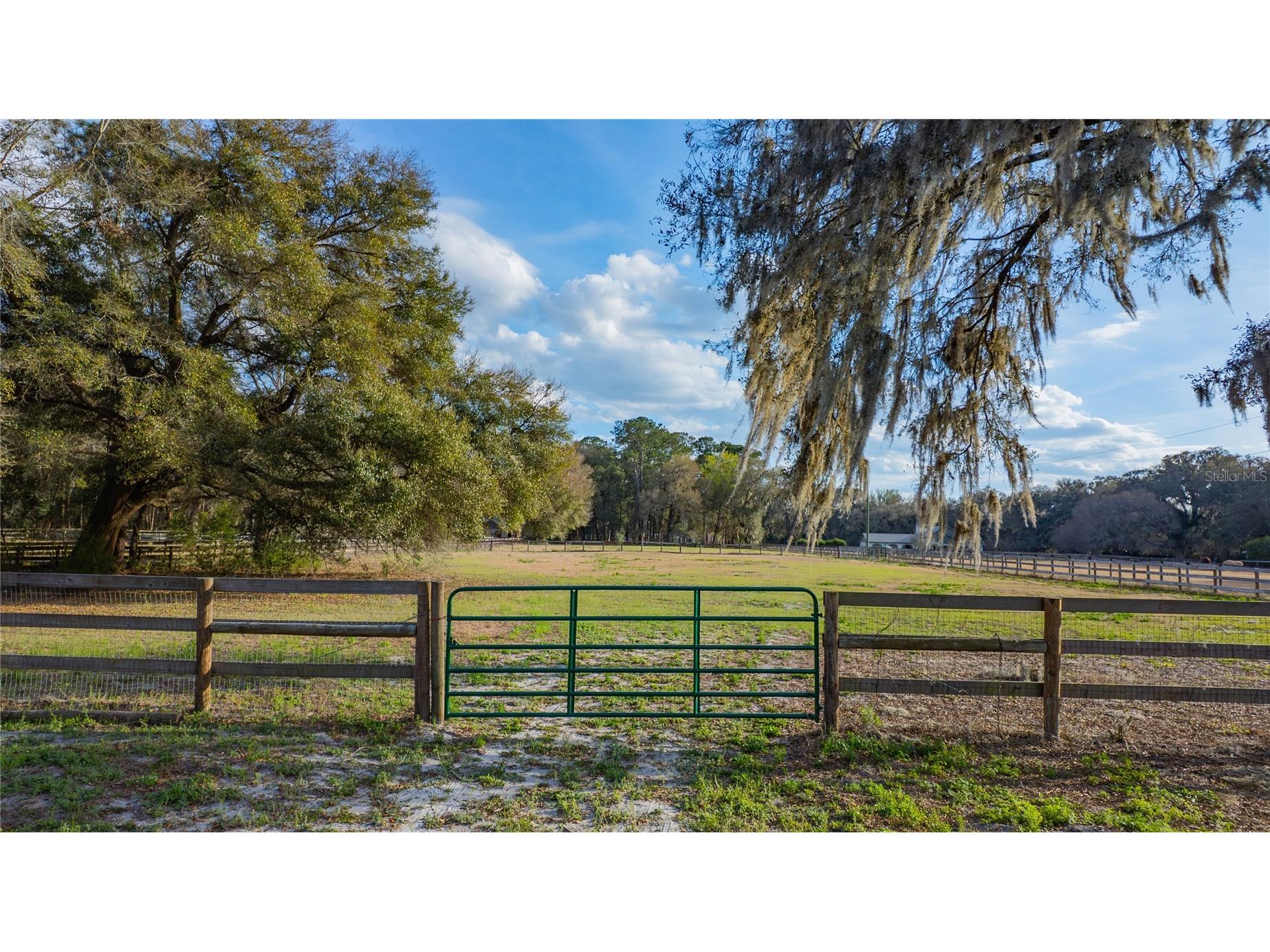 1154 SE 95th Street Ocala FL 34480 OM719522 image80