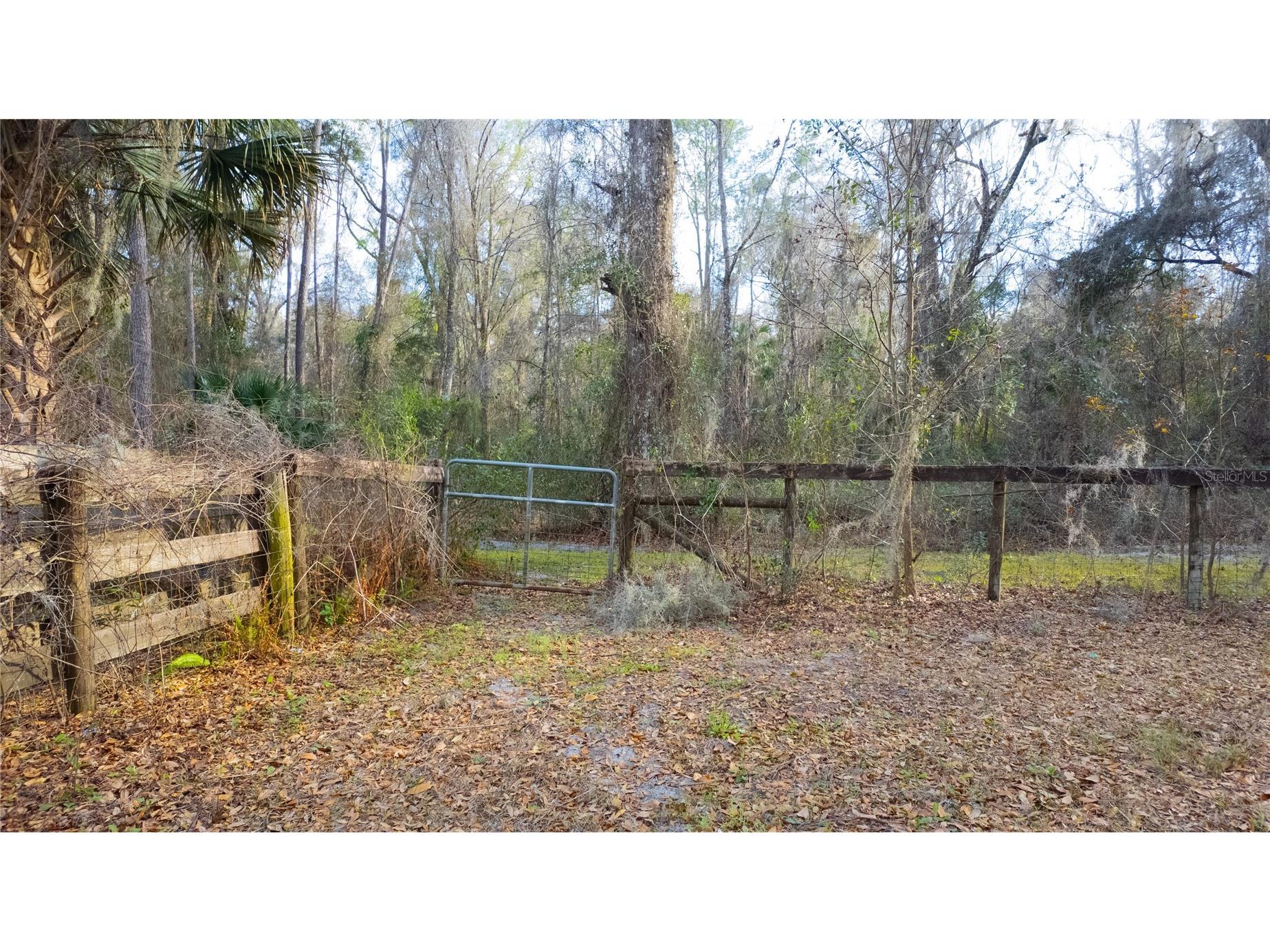 1154 SE 95th Street Ocala FL 34480 OM719522 image89