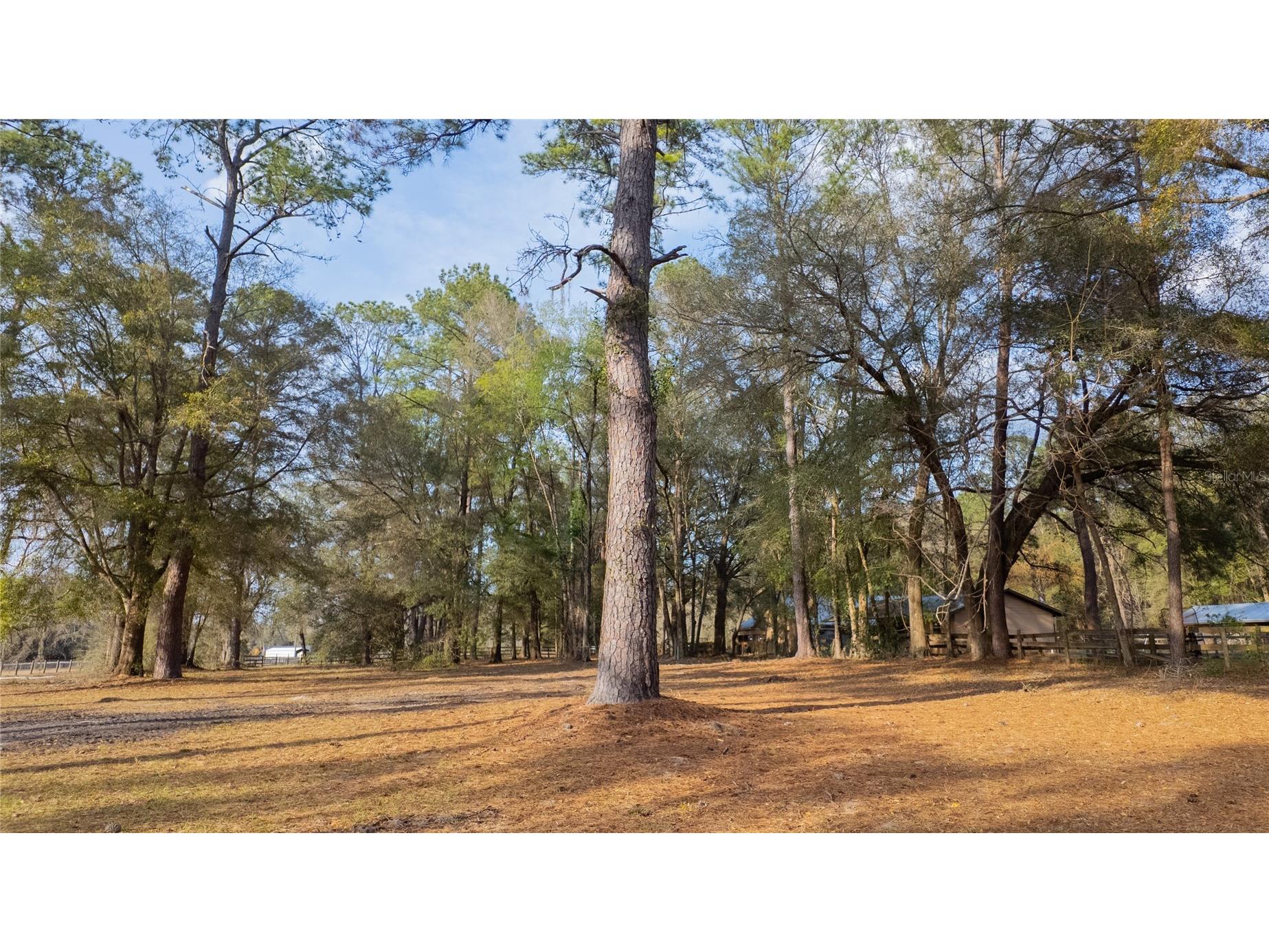 1154 SE 95th Street Ocala FL 34480 OM719522 image90