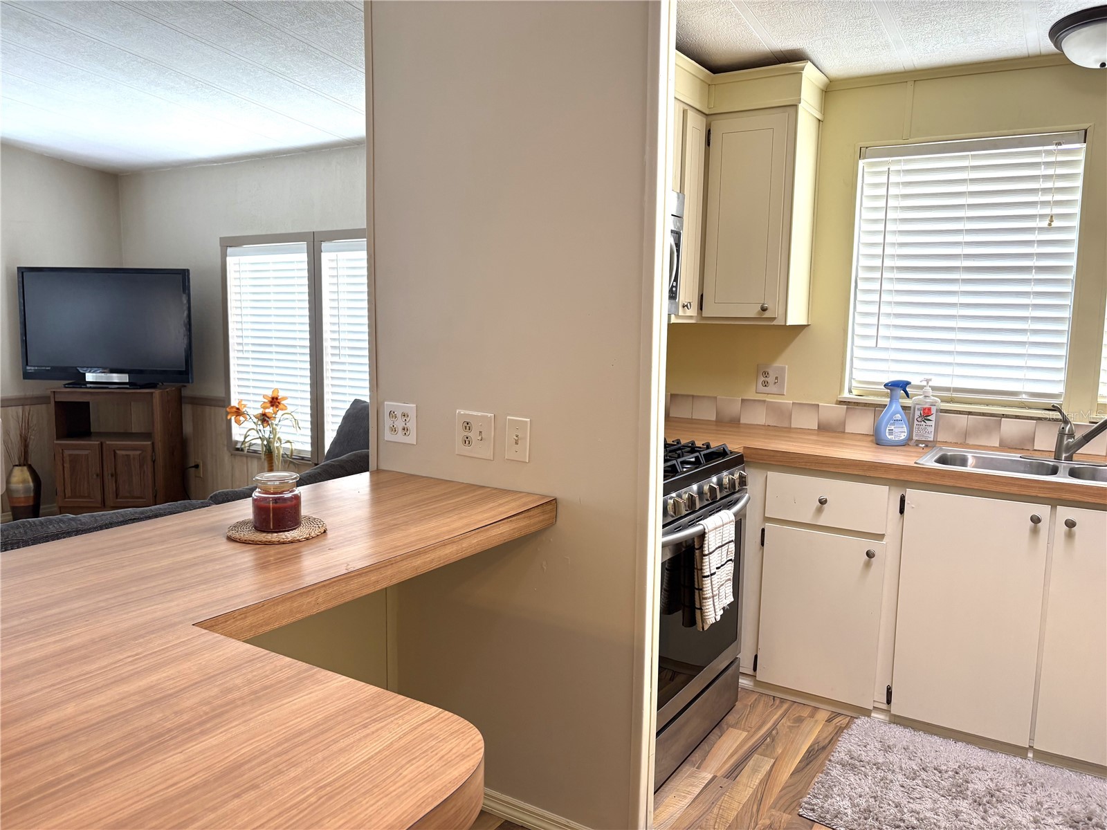 1154 Taffy Drive Punta Gorda FL 33982 C7526983 image14