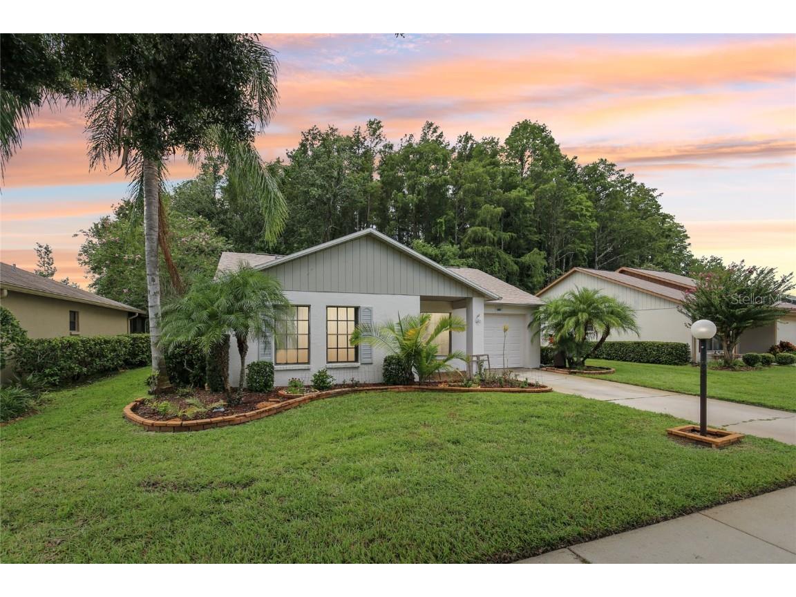11540 Pampas Drive New Port Richey FL 34654 TB8302397 image1