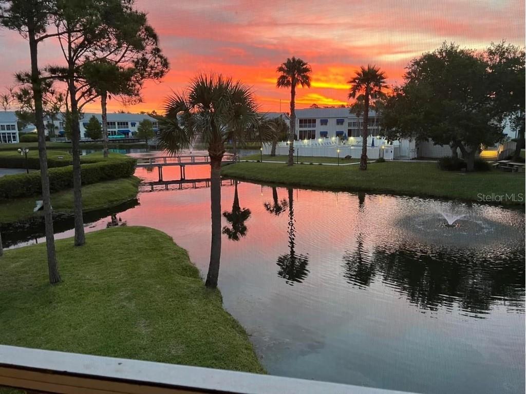 11540 Shipwatch Drive #1391 Largo FL 33774 U8223458 image1