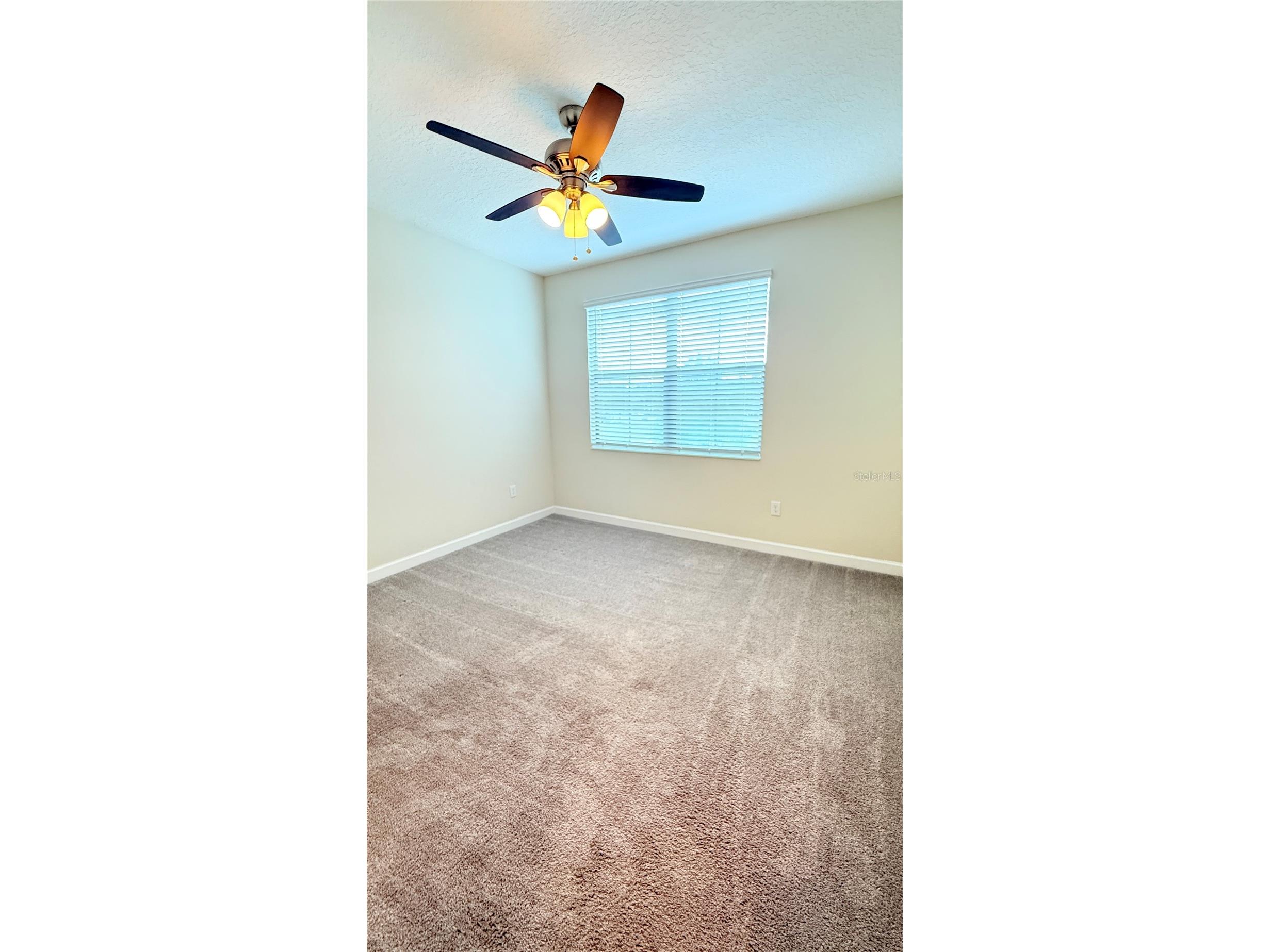 11540 Whistling Pine Way Orlando FL 32832 O6394651 image20