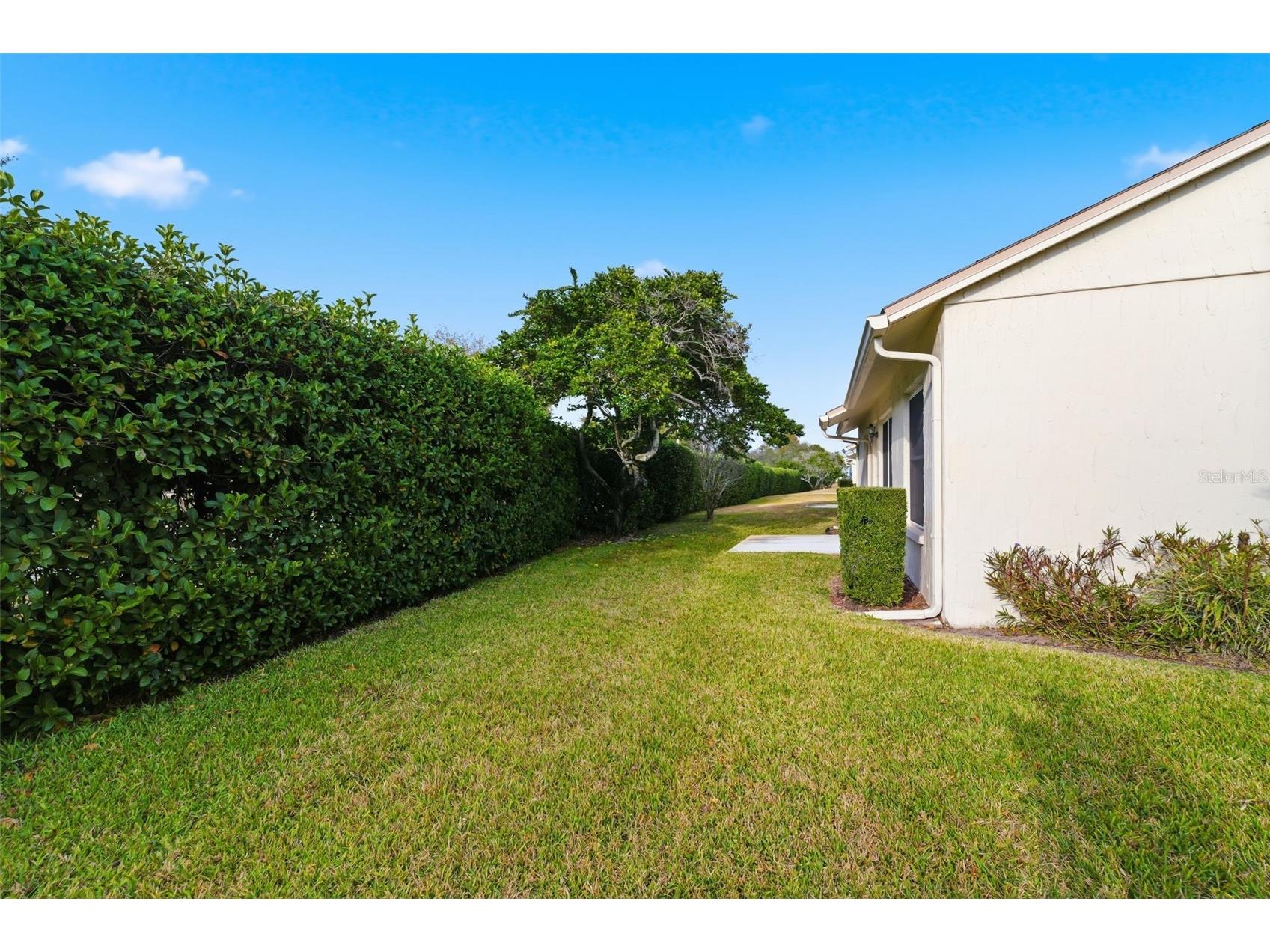 11541 Orleans Lane Port Richey FL 34668 O6382680 image25