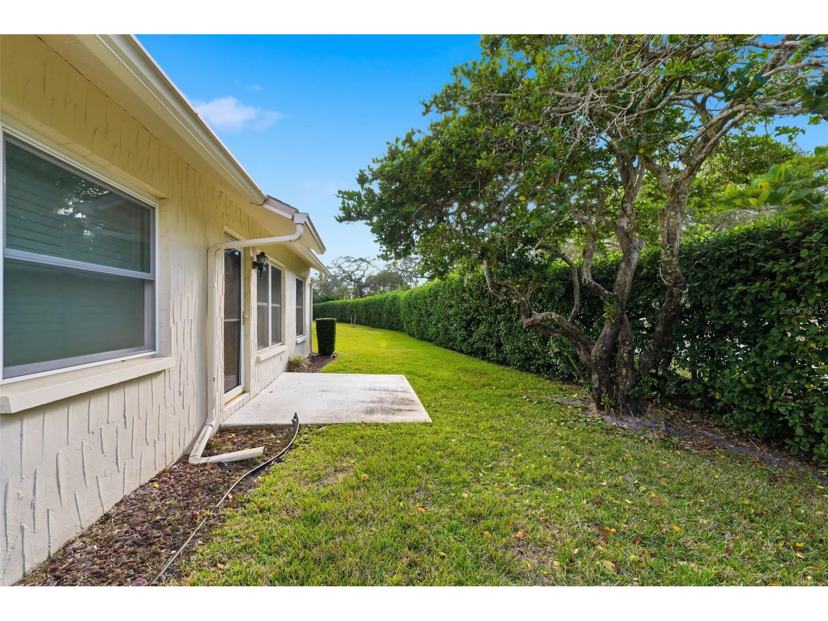 11541 Orleans Lane Port Richey FL 34668 O6382680 image27