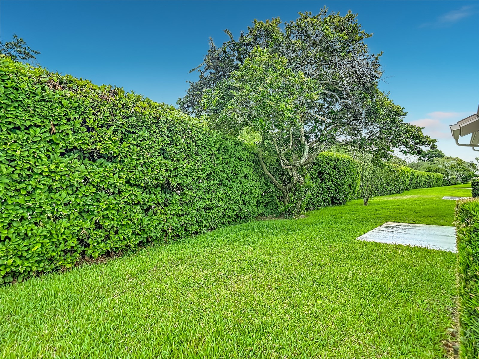 11541 Orleans Lane Port Richey FL 34668 W7886019 image36