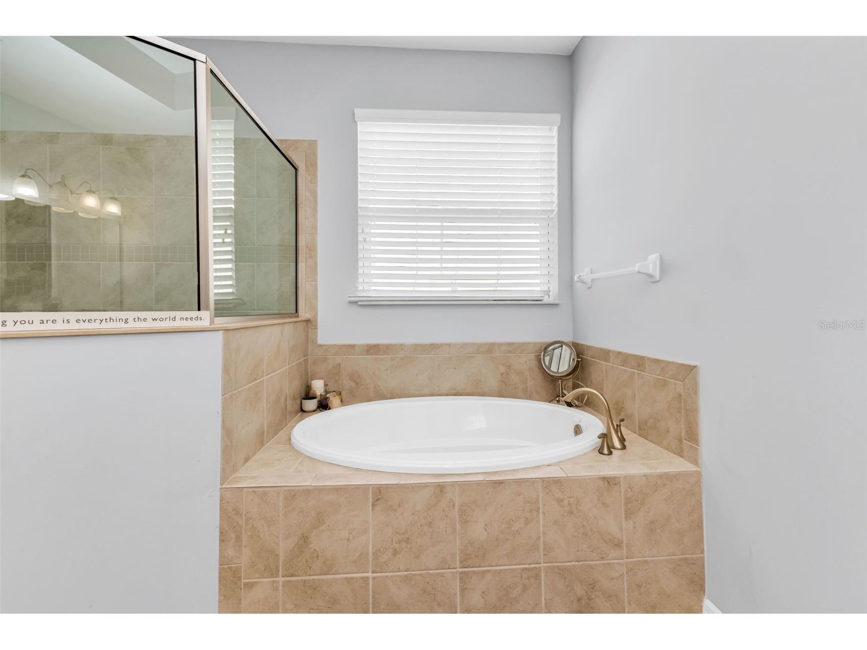 11542 Blackfin Street Venice FL 34292 C7522848 image30