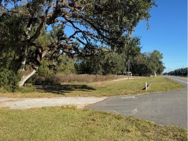 11542 S Us Highway 301 Webster FL 33597 G5104272 image6