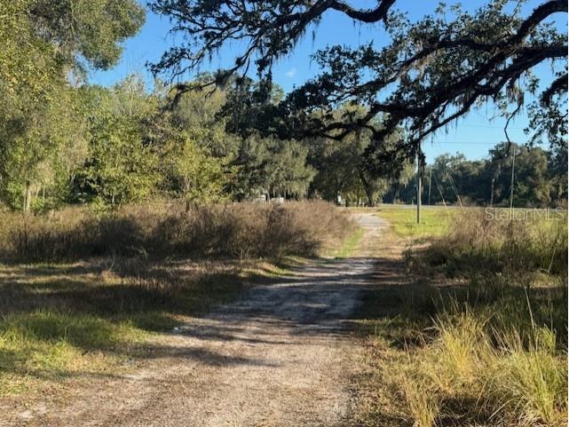 11542 S Us Highway 301 Webster FL 33597 G5104272 image7