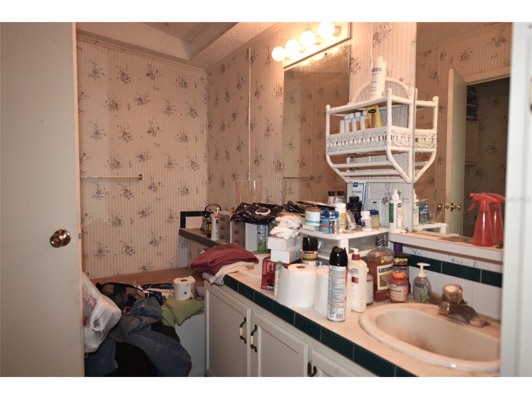 11542 Sumner Road Wimauma FL 33598 TB8442984 image17