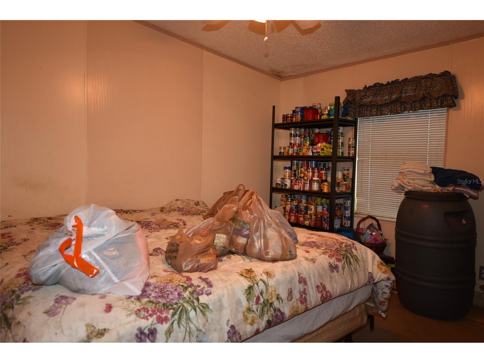 11542 Sumner Road Wimauma FL 33598 TB8442984 image20