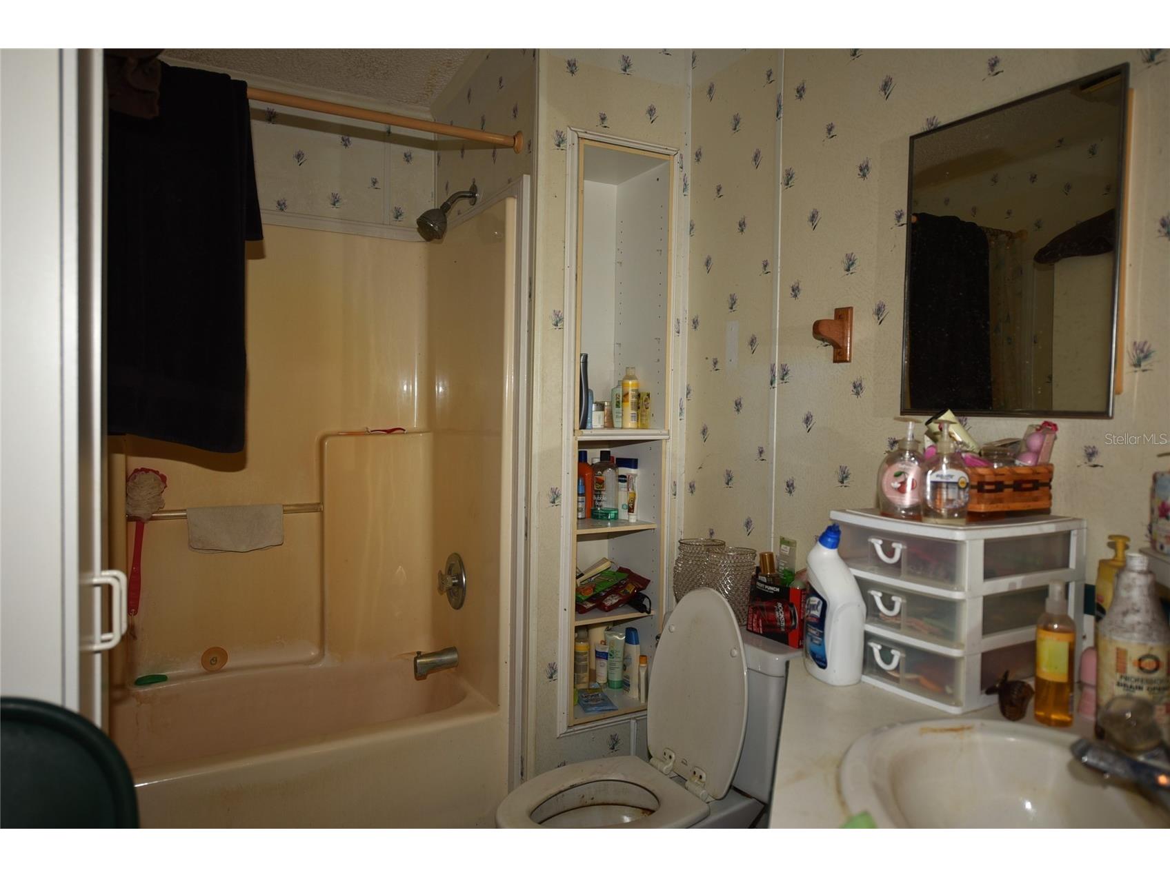 11542 Sumner Road Wimauma FL 33598 TB8442984 image21