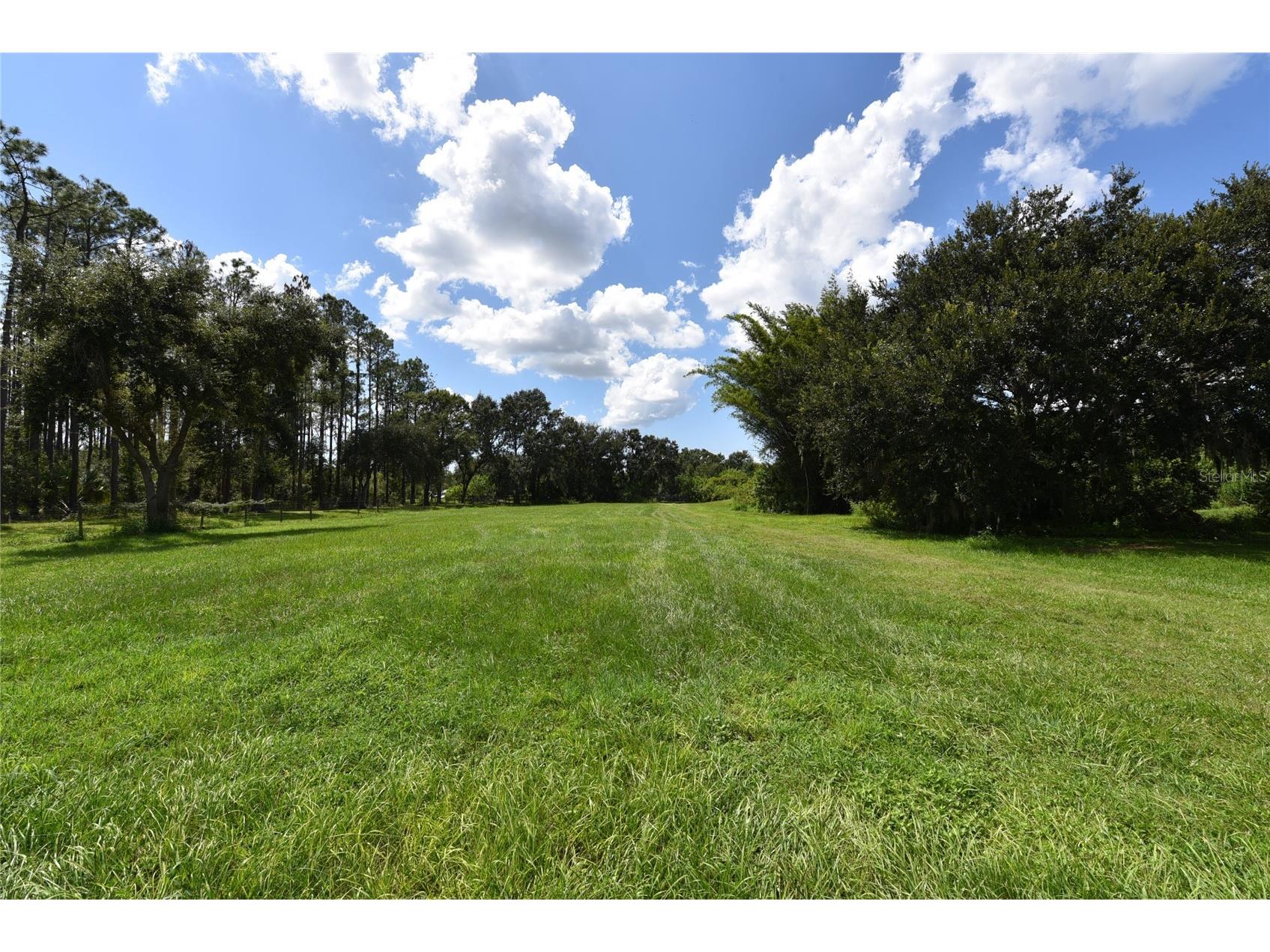 11542 Sumner Road Wimauma FL 33598 TB8442984 image46