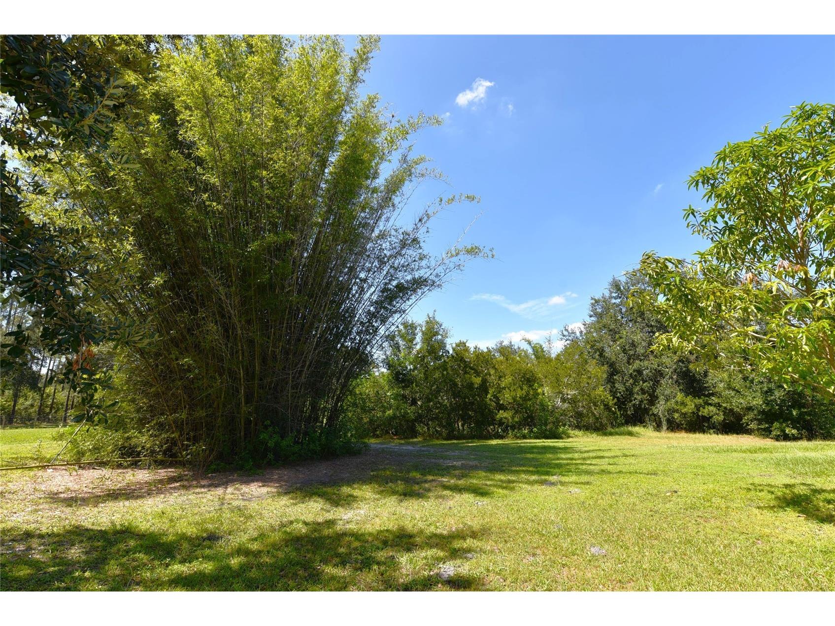 11542 Sumner Road Wimauma FL 33598 TB8442984 image48
