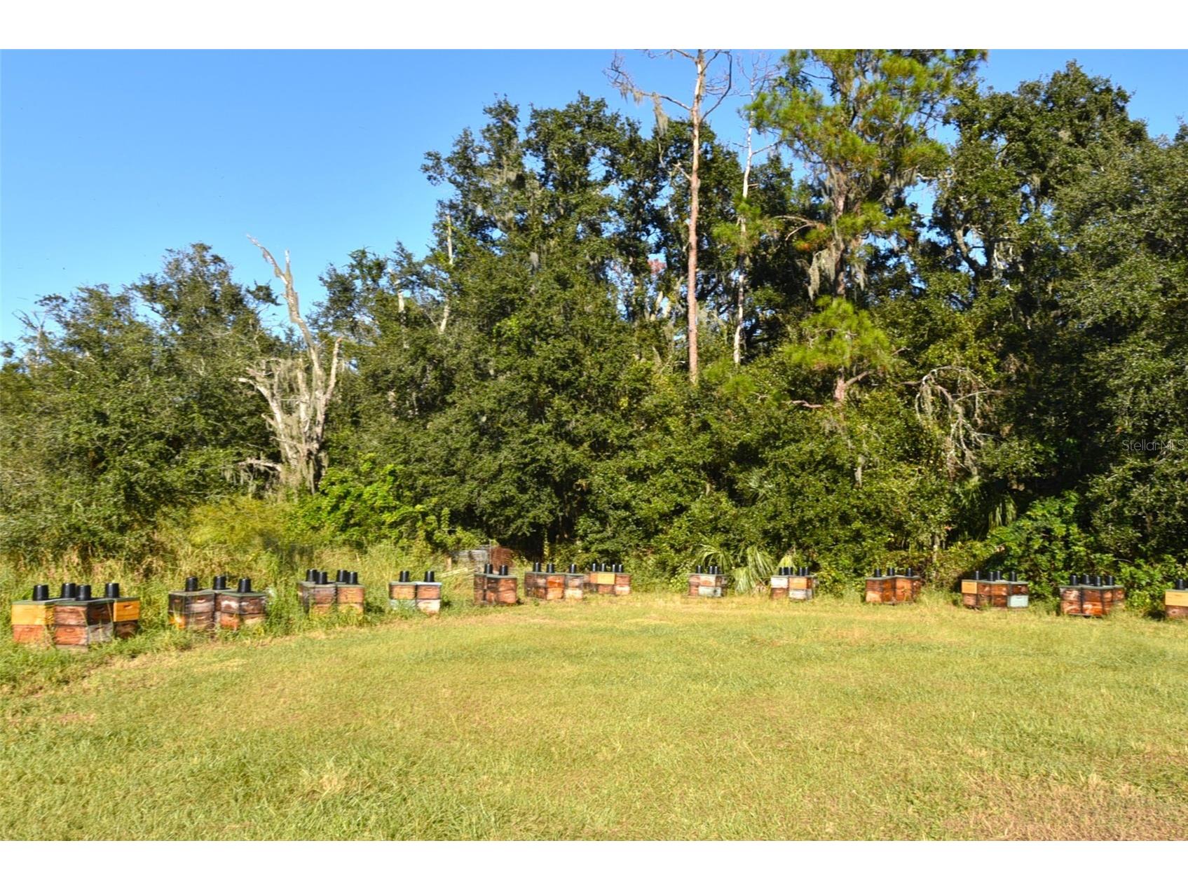 11542 Sumner Road Wimauma FL 33598 TB8442984 image51