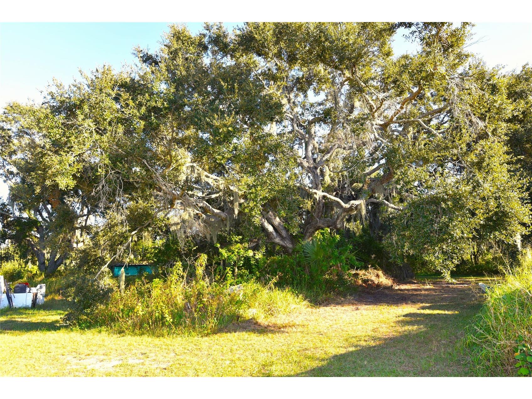 11542 Sumner Road Wimauma FL 33598 TB8442984 image53