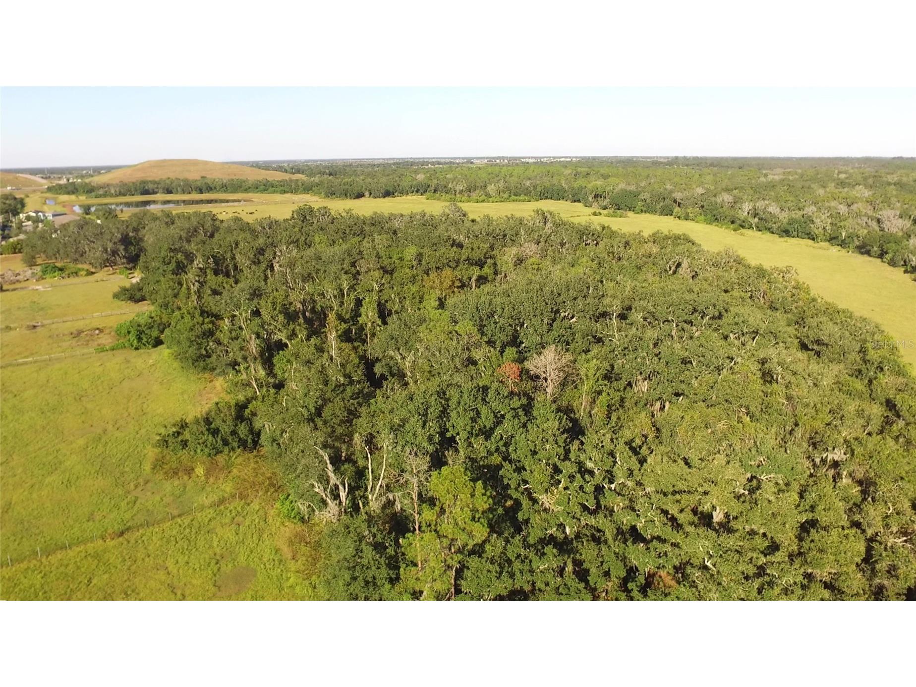 11542 Sumner Road Wimauma FL 33598 TB8442984 image62
