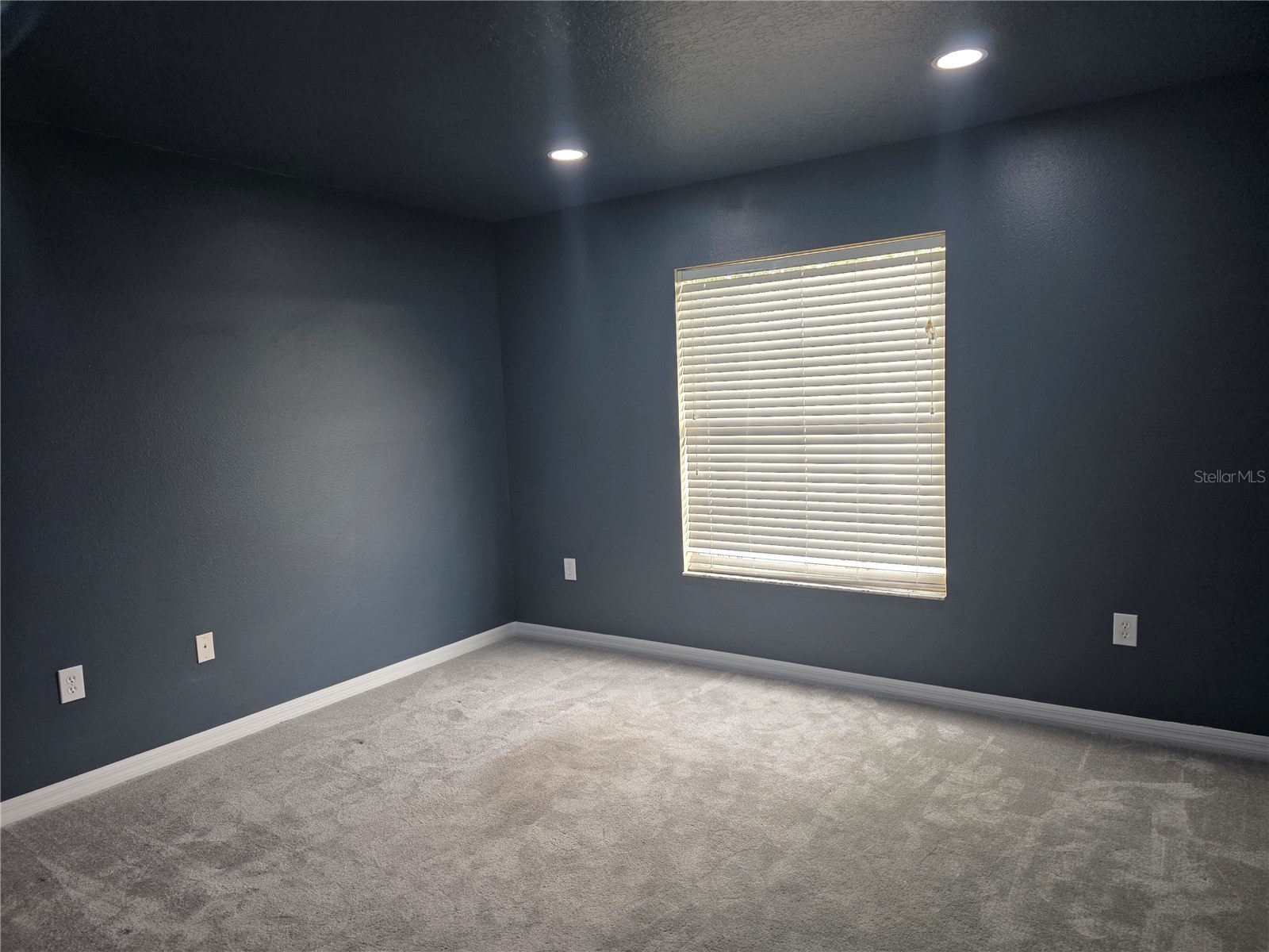 11543 Addison Chase Drive Riverview FL 33579 TB8509435 image16
