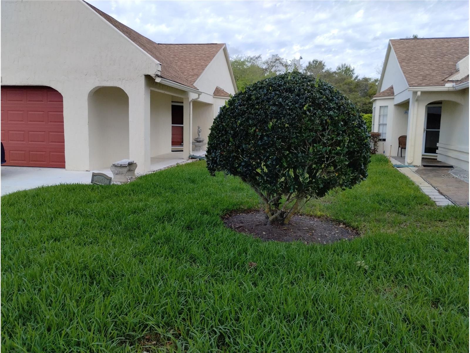 11543 Orleans Lane #B Port Richey FL 34668 W7883952 image1