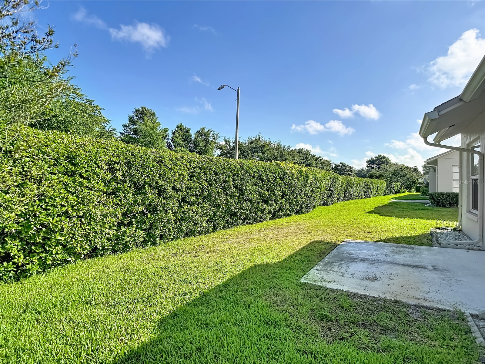 11543 Orleans Lane Port Richey FL 34668 W7885908 image36