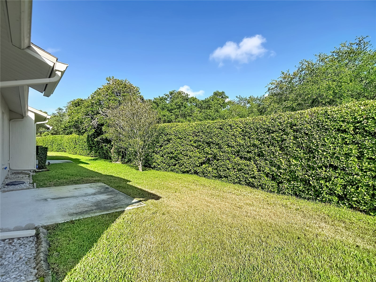 11543 Orleans Lane Port Richey FL 34668 W7885908 image38
