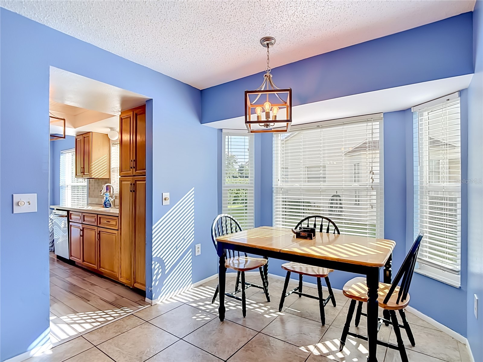 11543 Orleans Lane Port Richey FL 34668 W7885908 image7