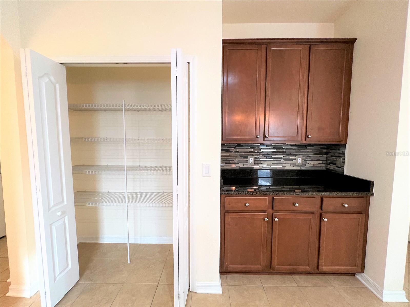 11544 Balintore Drive Riverview FL 33579 TB8516131 image14