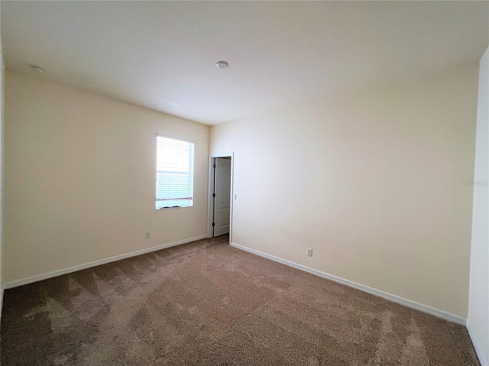 11544 Balintore Drive Riverview FL 33579 TB8516131 image23