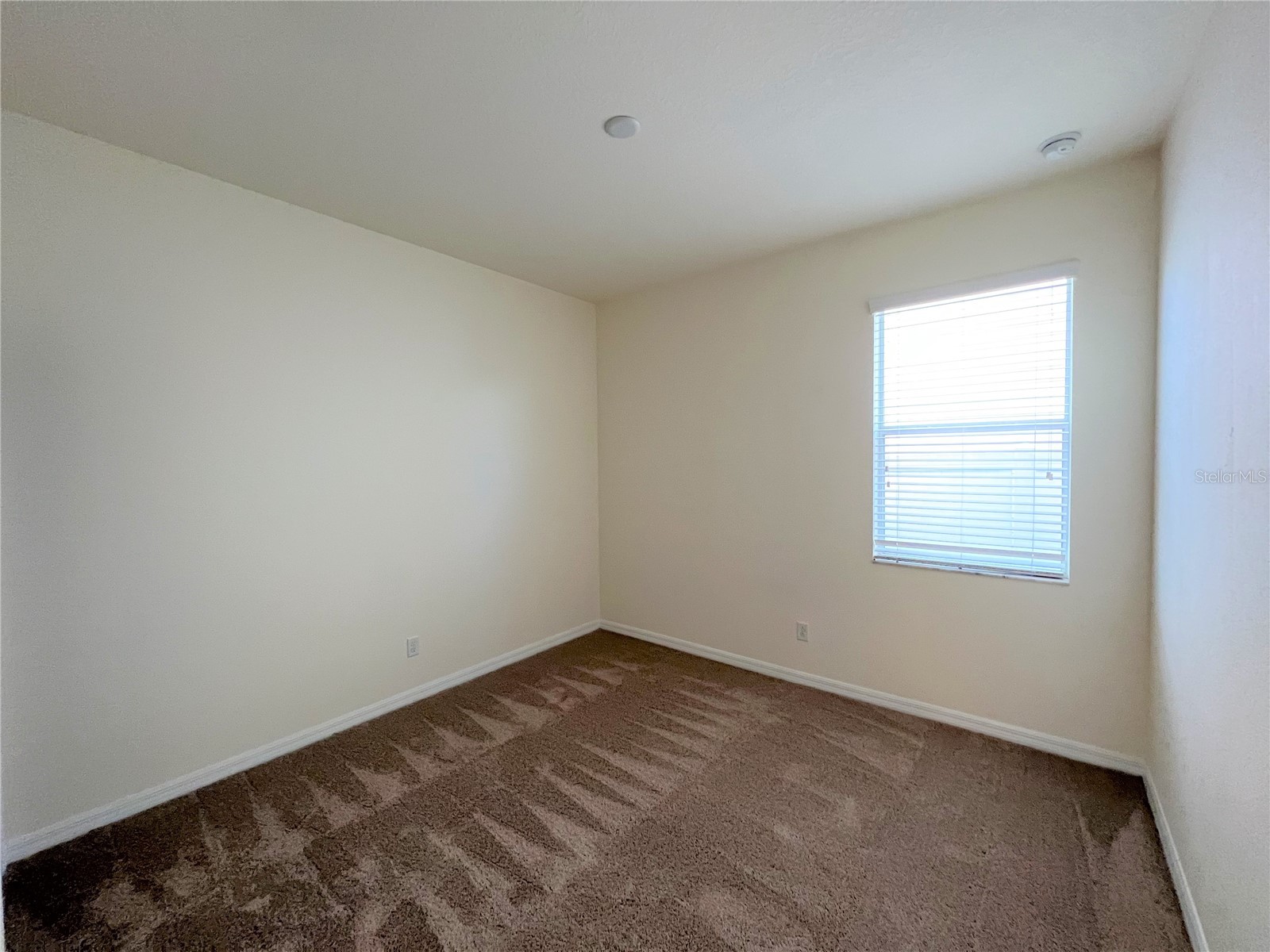 11544 Balintore Drive Riverview FL 33579 TB8516131 image27