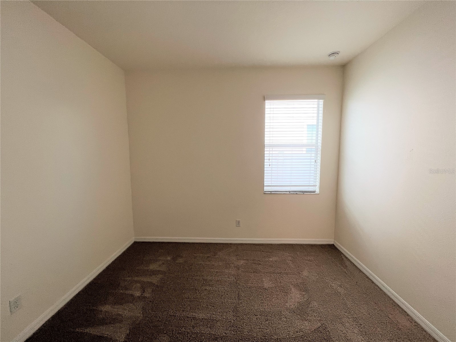 11544 Balintore Drive Riverview FL 33579 TB8516131 image28