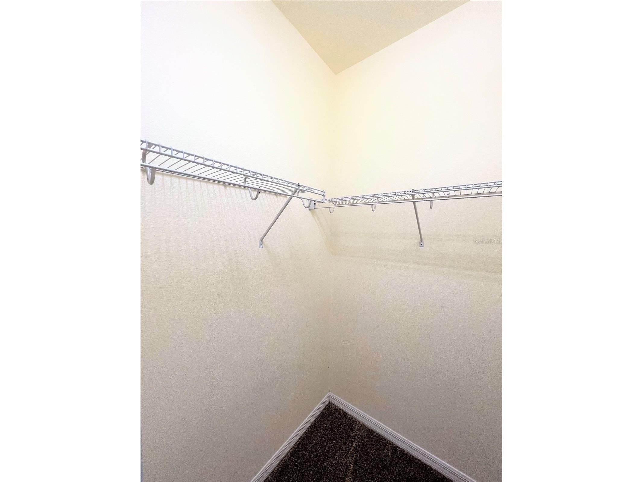 11544 Balintore Drive Riverview FL 33579 TB8516131 image29