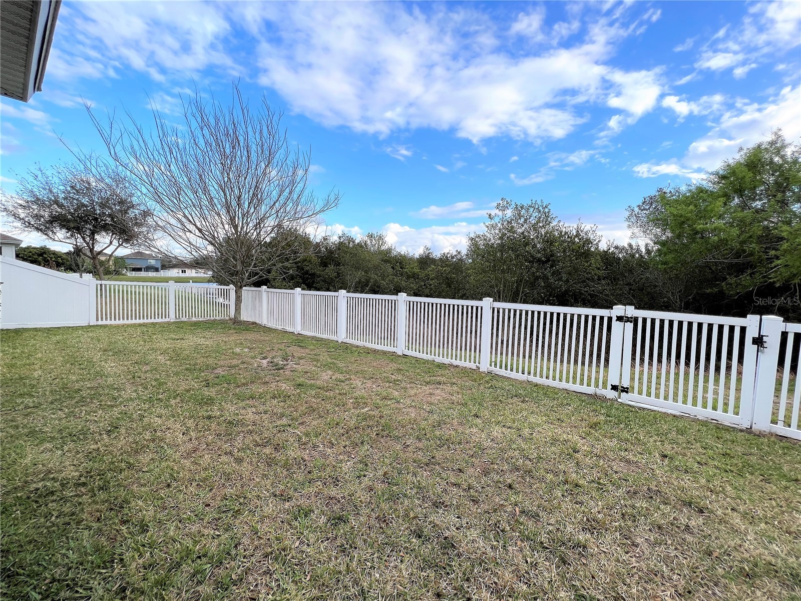 11544 Balintore Drive Riverview FL 33579 TB8516131 image33