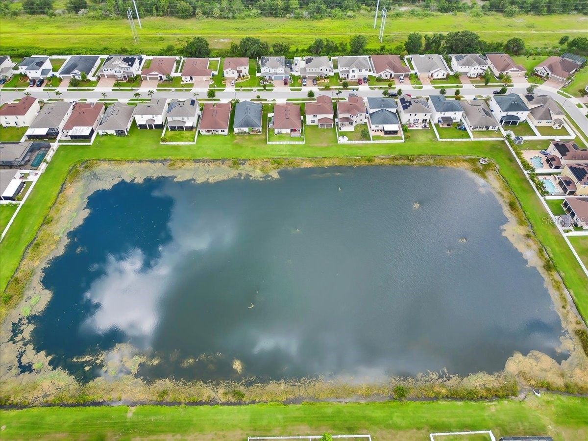 11544 Brighton Knoll Loop Riverview FL 33579 TB8409257 image28