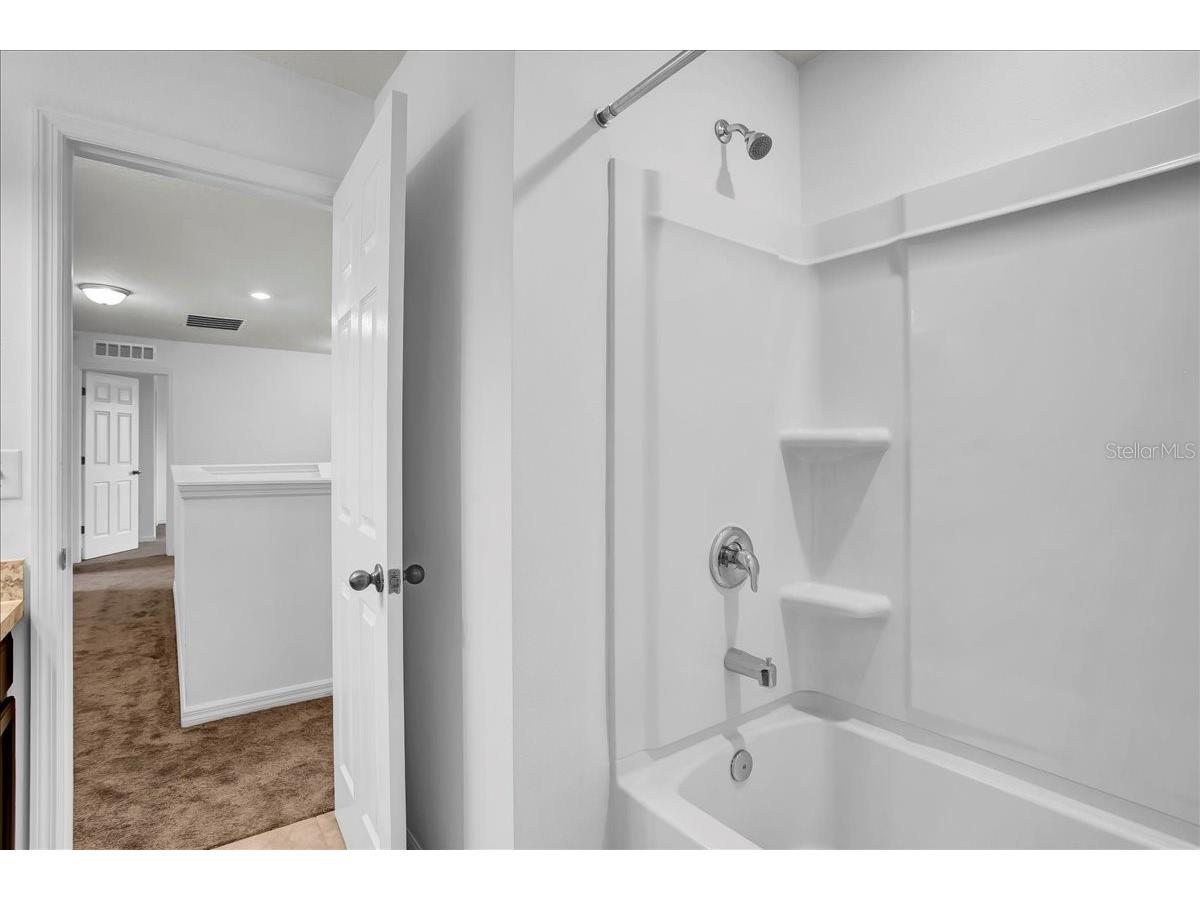 11544 Brighton Knoll Loop Riverview FL 33579 TB8409257 image64