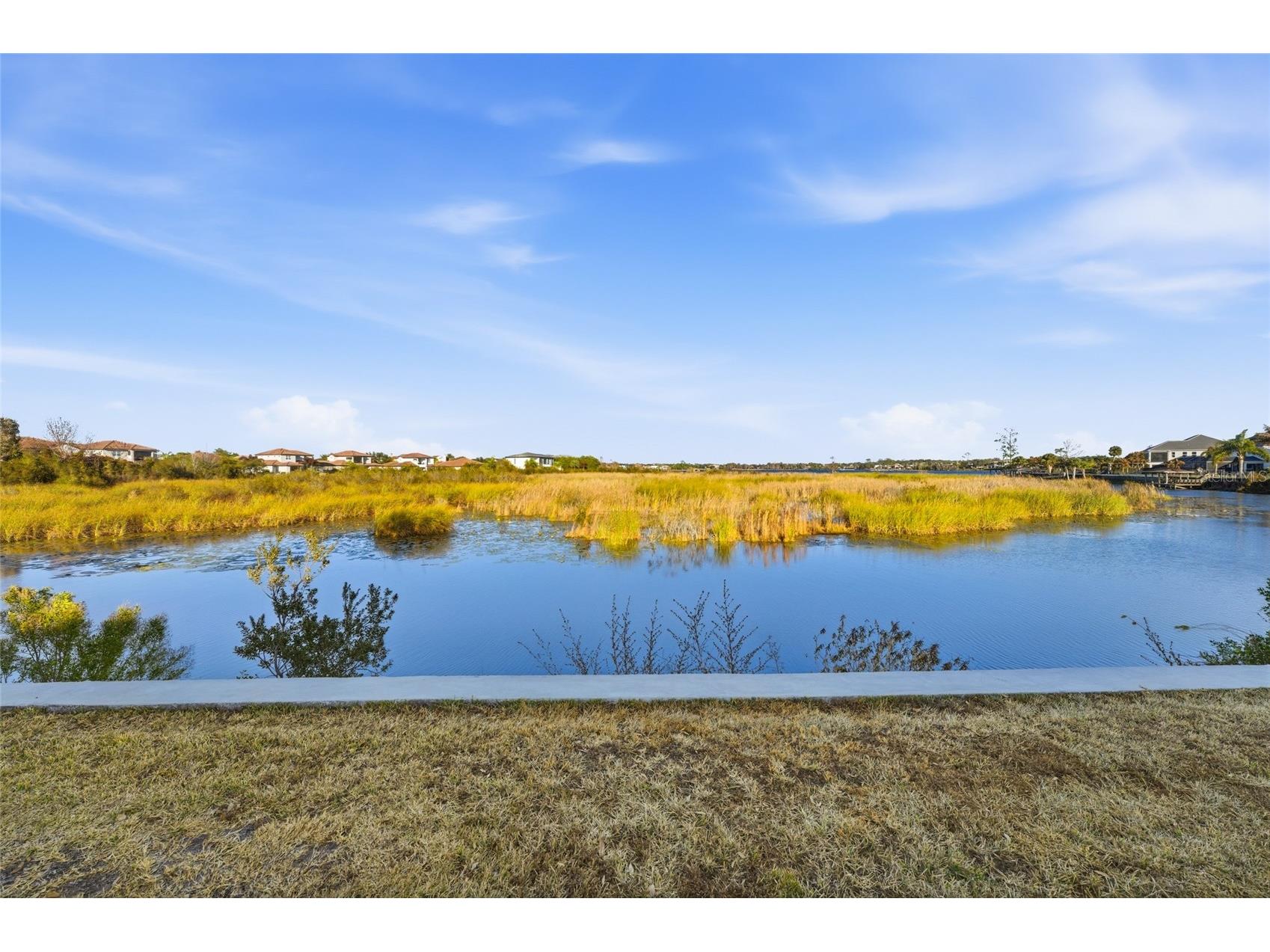 11545 Brickyard Pond Lane Windermere FL 34786 O6378961 image27
