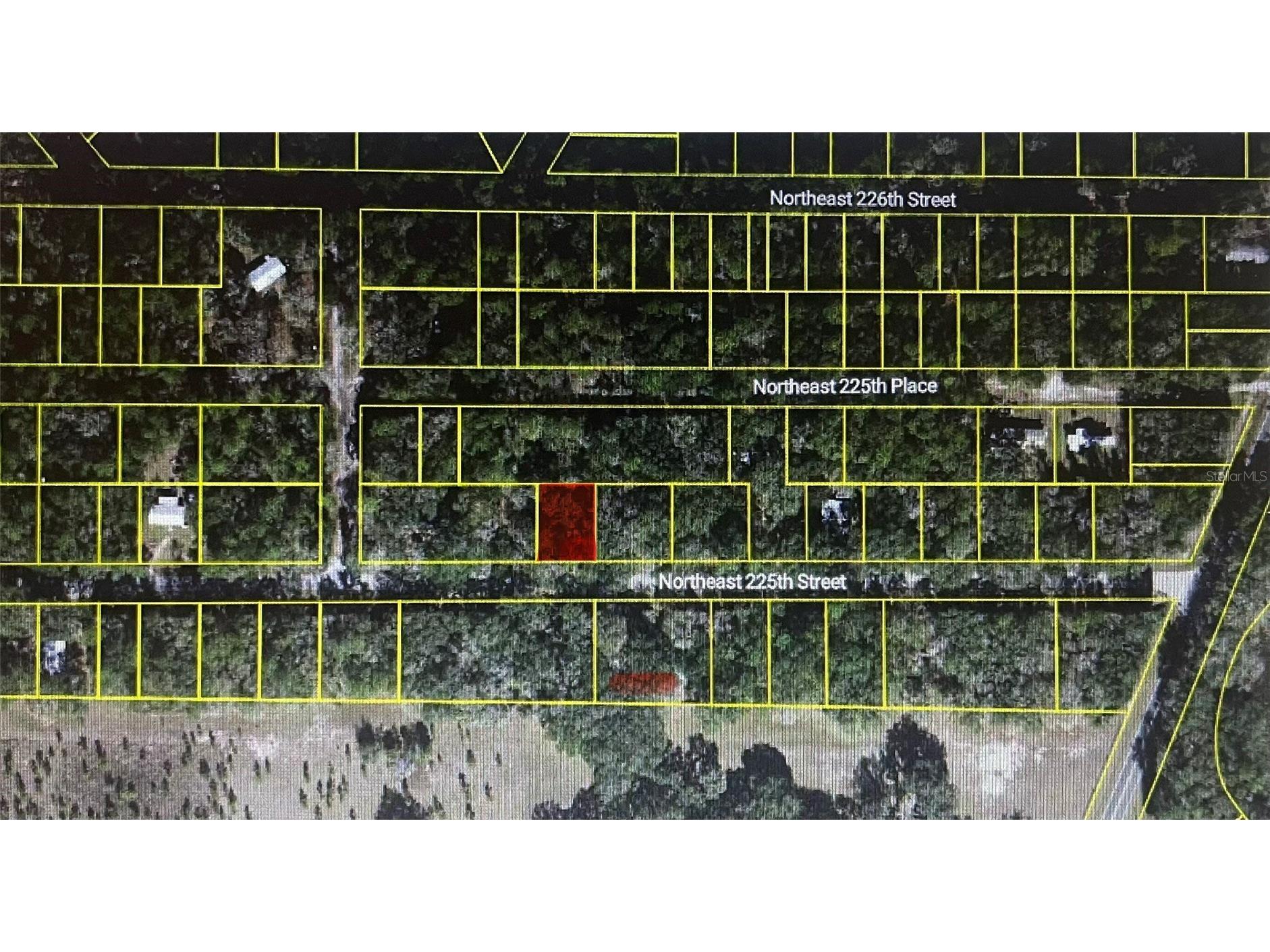 11545 NE Ne 225th St Fort Mc Coy FL 32134 OM725315 image1