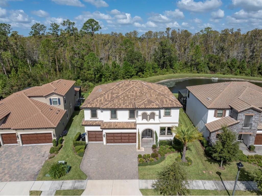 11545 Tallfield Lane Odessa FL 33556 W7869320 image1