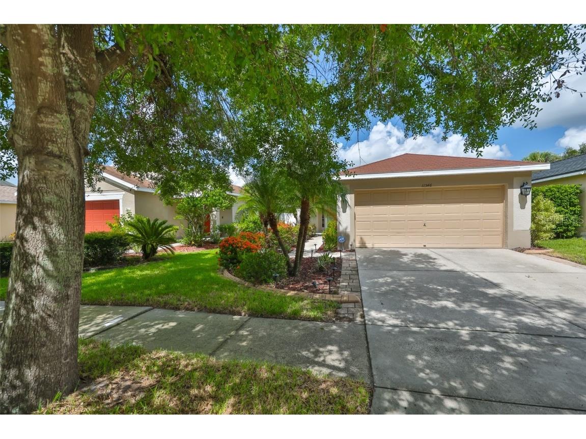 11546 Crestlake Village Drive Riverview FL 33569 TB8408643 image1