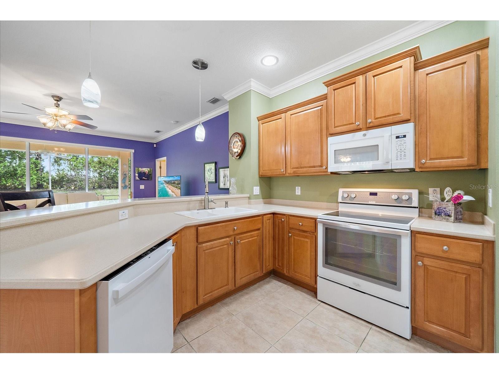 11547 52nd Court E Parrish FL 34219 A4687905 image9