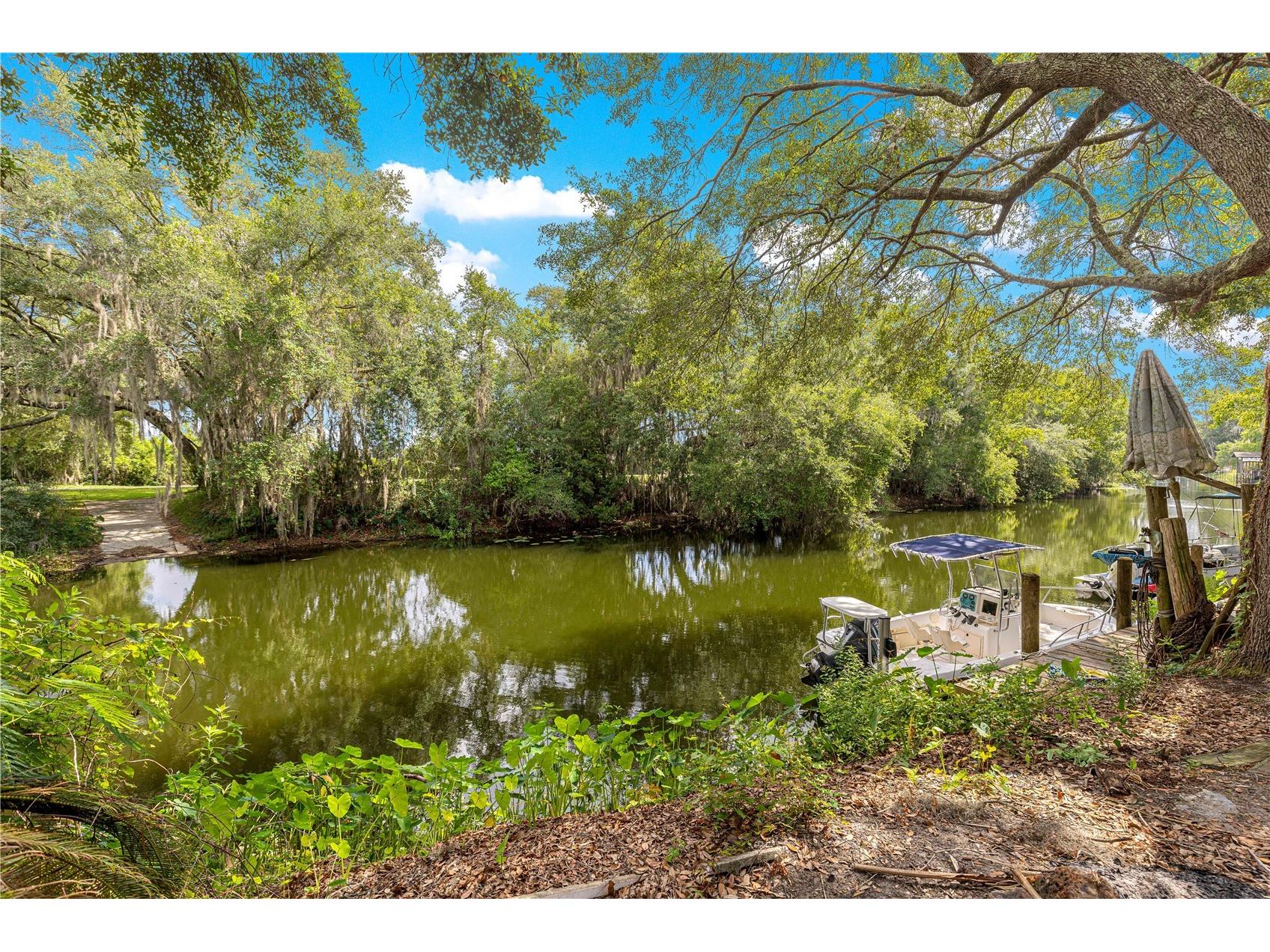 11547 SE 123 St Belleview FL 34420 - CANAL TO SPRING LAKE BOWER G5114423 image36