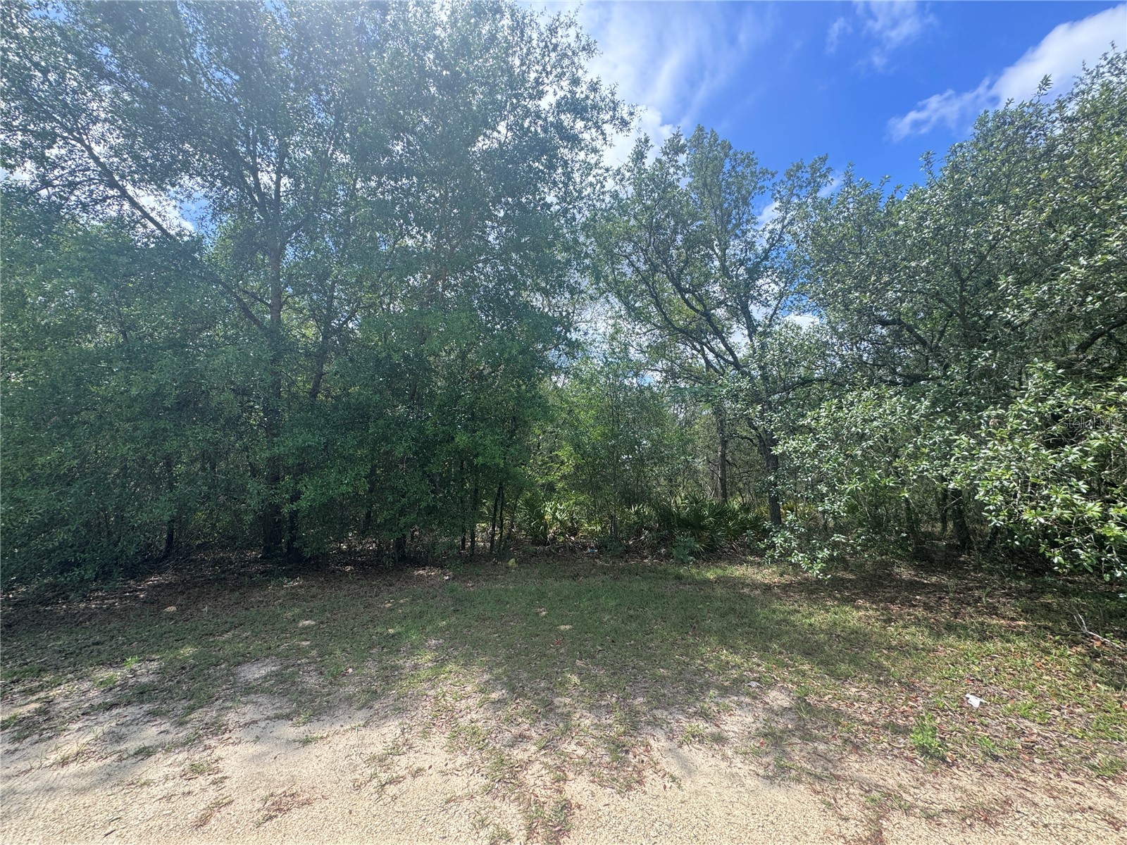 11548 NE 62nd Lane Williston FL 32696 OM724314 image1