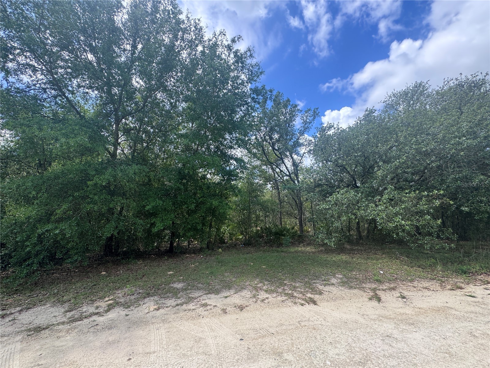 11548 NE 62nd Lane Williston FL 32696 OM724314 image3