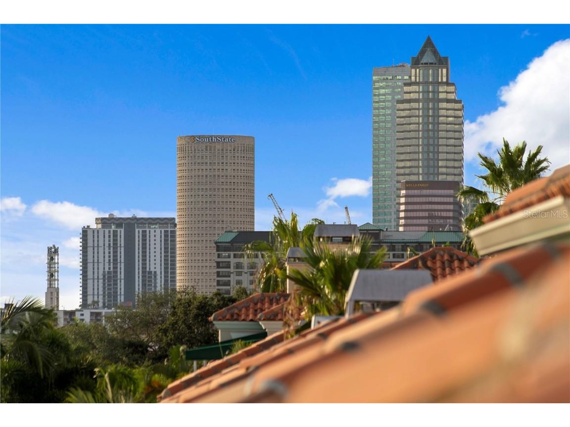 1155 Abbeys Way Tampa FL 33602 - SEDDON CHANNEL TB8409679 image52