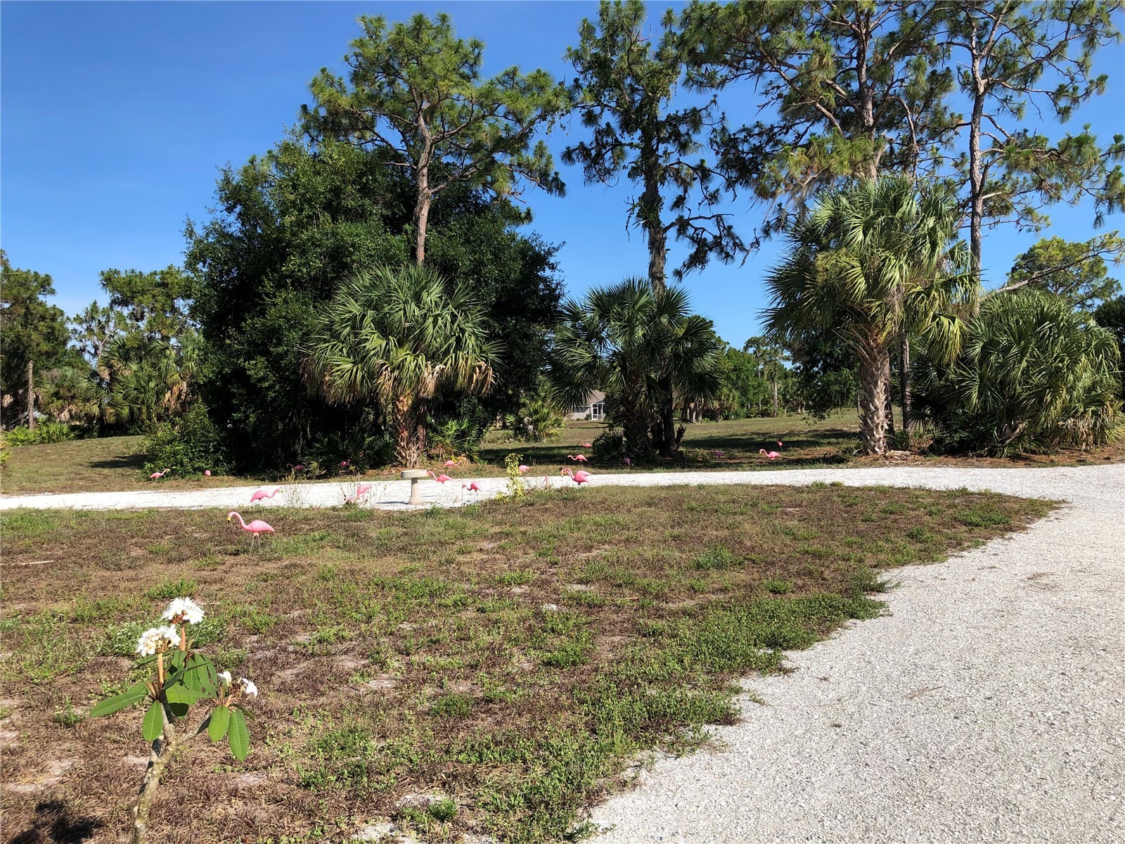 1155 Boundary Boulevard Rotonda West FL 33947 D6143962 image97