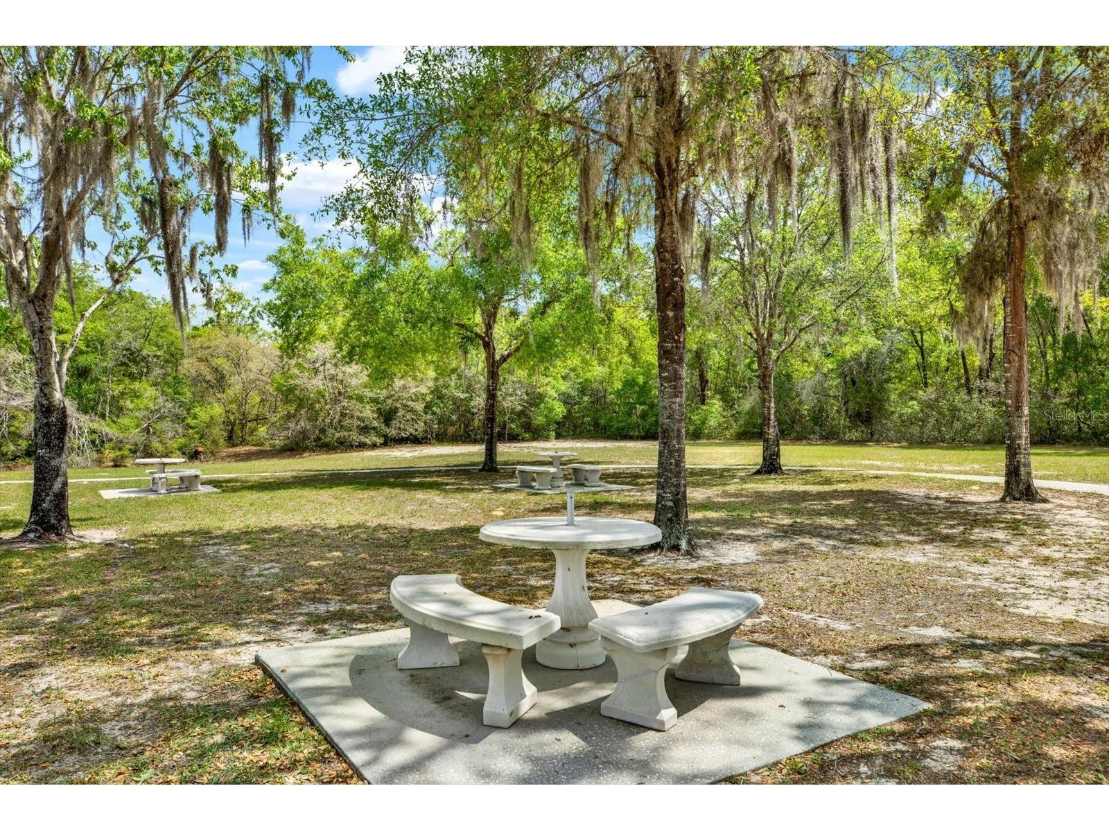 1155 E Bluebird Court Hernando FL 34442 TB8491203 image64