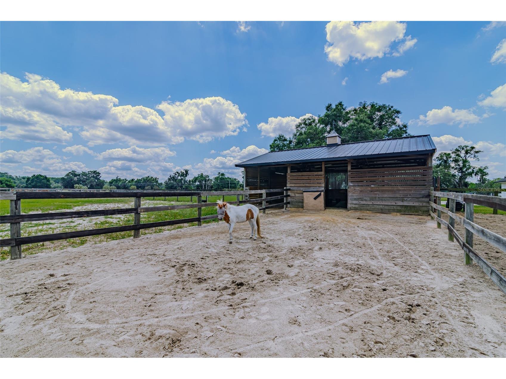 1155 E Highway 316 Citra FL 32113 OM724585 image29
