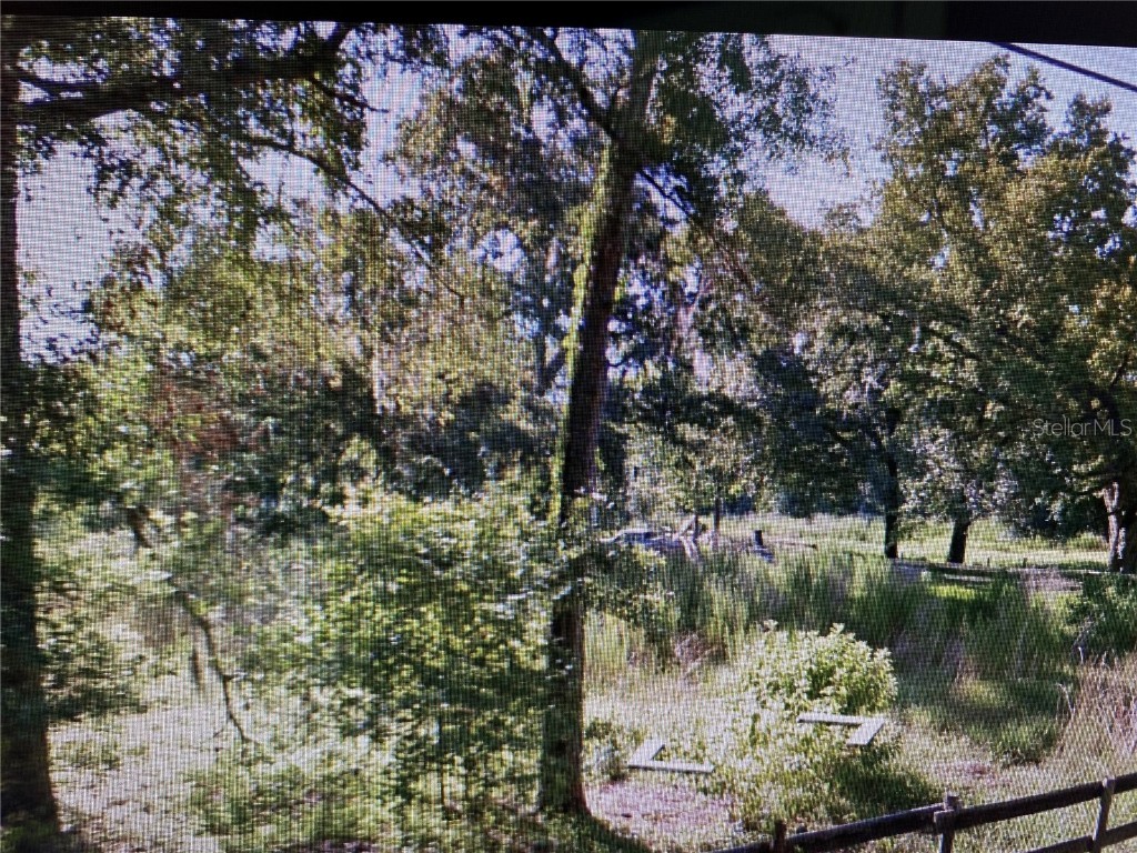 1155 Eugenia Boulevard New Smyrna Beach FL 32168 O6068837 image1