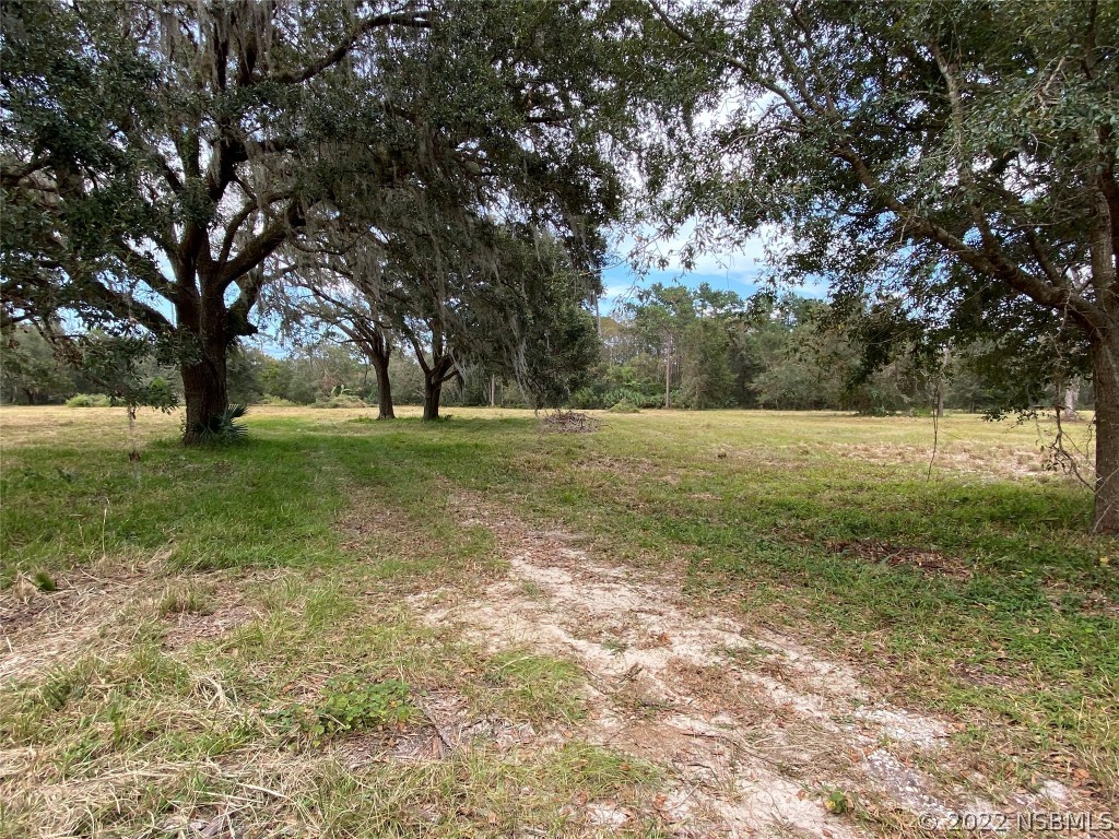 1155 Eugenia Boulevard New Smyrna Beach FL 32168 NS1071569 image1