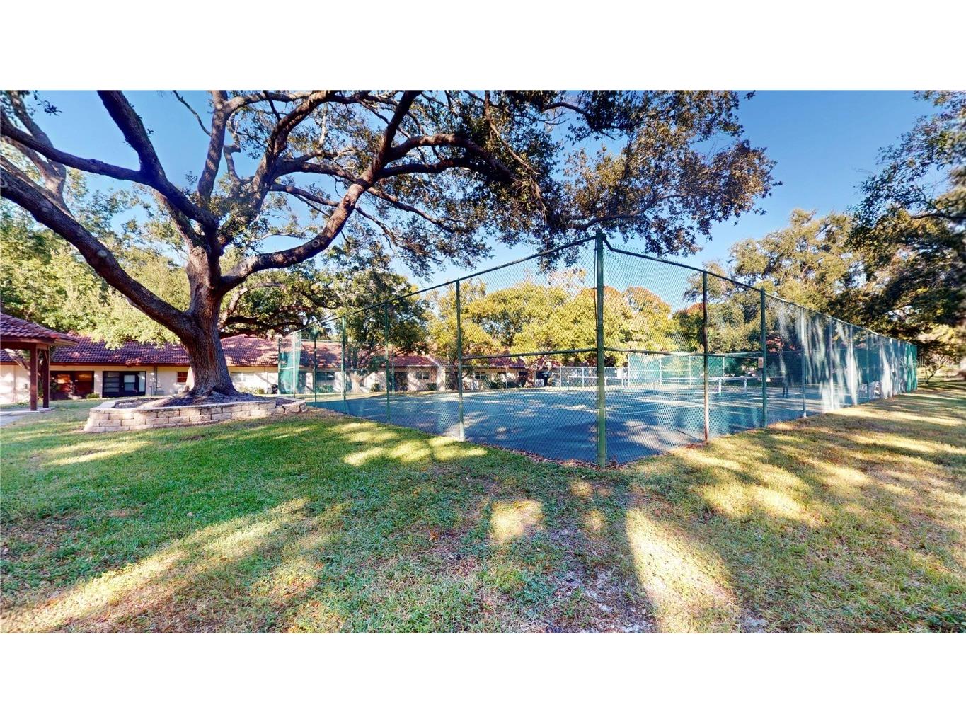 1155 Montrose Place Dunedin FL 34698 TB8448932 image24